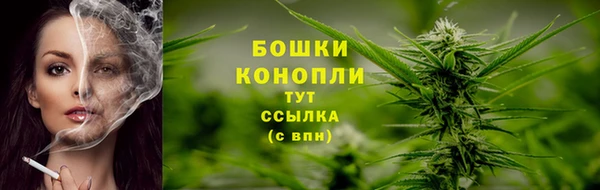 дурь Корсаков