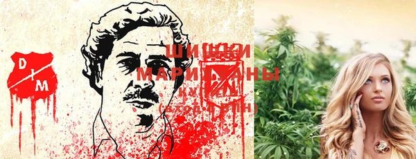 прущие крисы Козельск