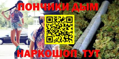 МДПВ Будённовск