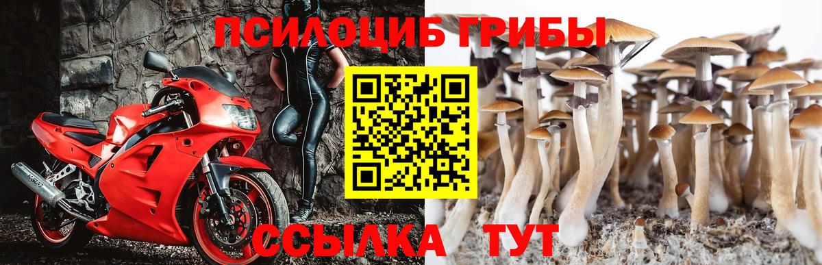 Богородск  Псилоцибиновые грибы мицелий  Вход с VPN 
