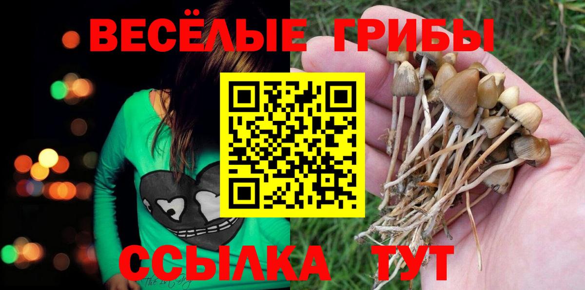 Псилоцибиновые грибы Magic Shrooms Богородск