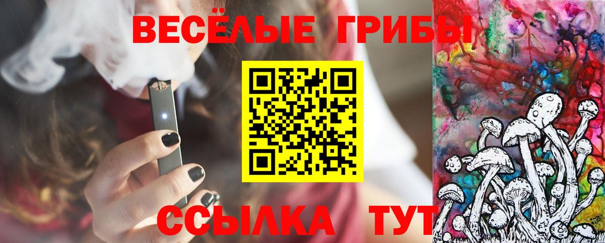Галлюциногенные грибы GOLDEN TEACHER  как найти закладки  Богородск 